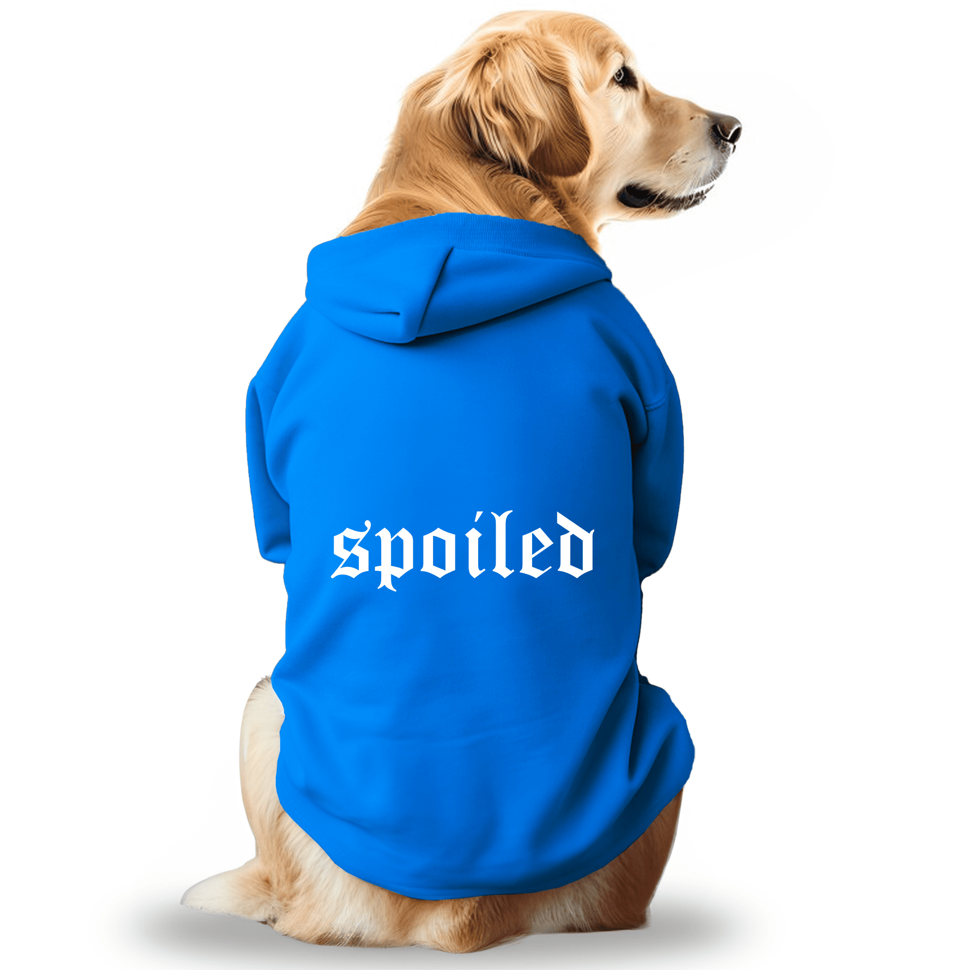 Pawsindia Dog & Cat Hoodie - Spoiled (Blue)
