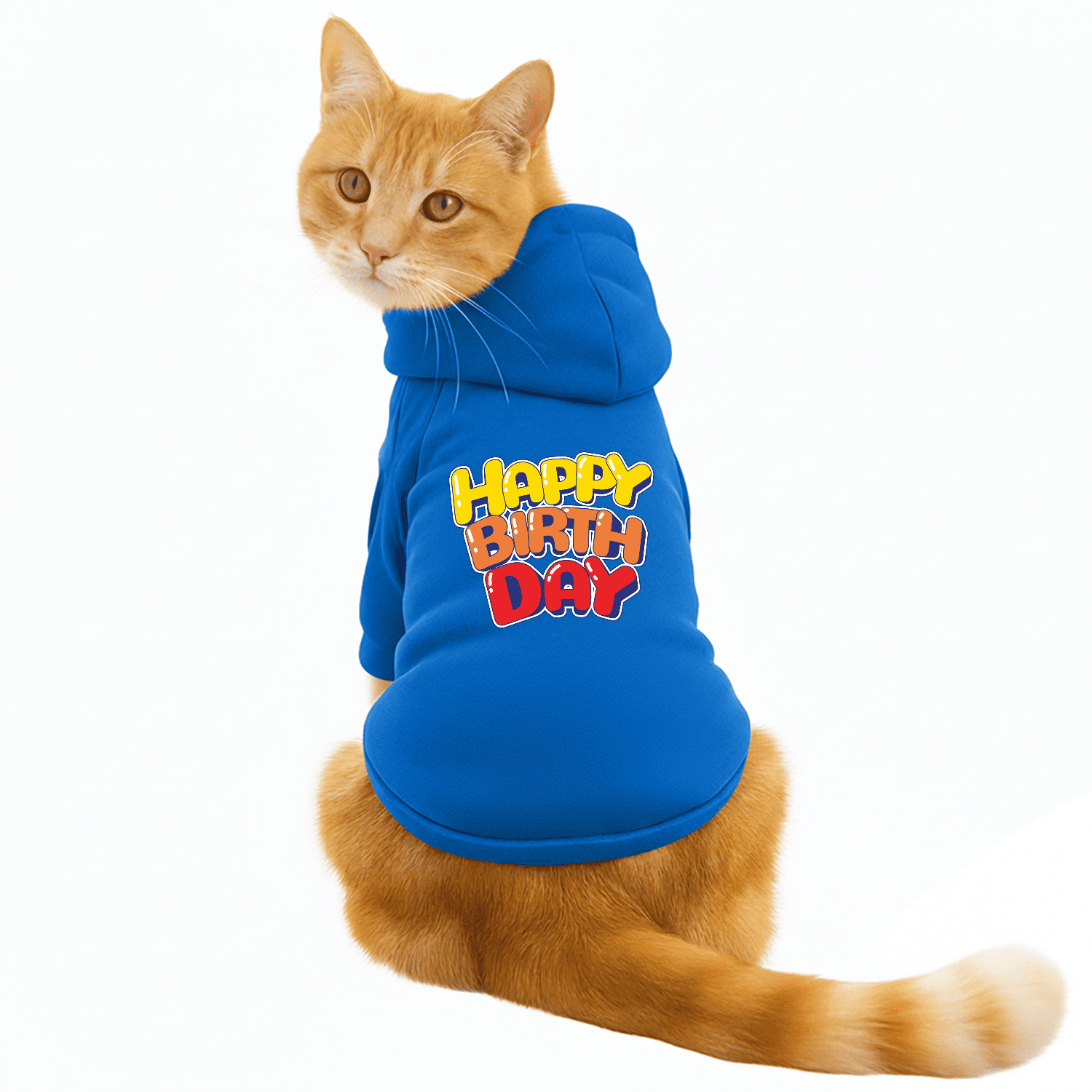 Pawsindia Dog & Cat Hoodie - Happy Birthday (Blue)