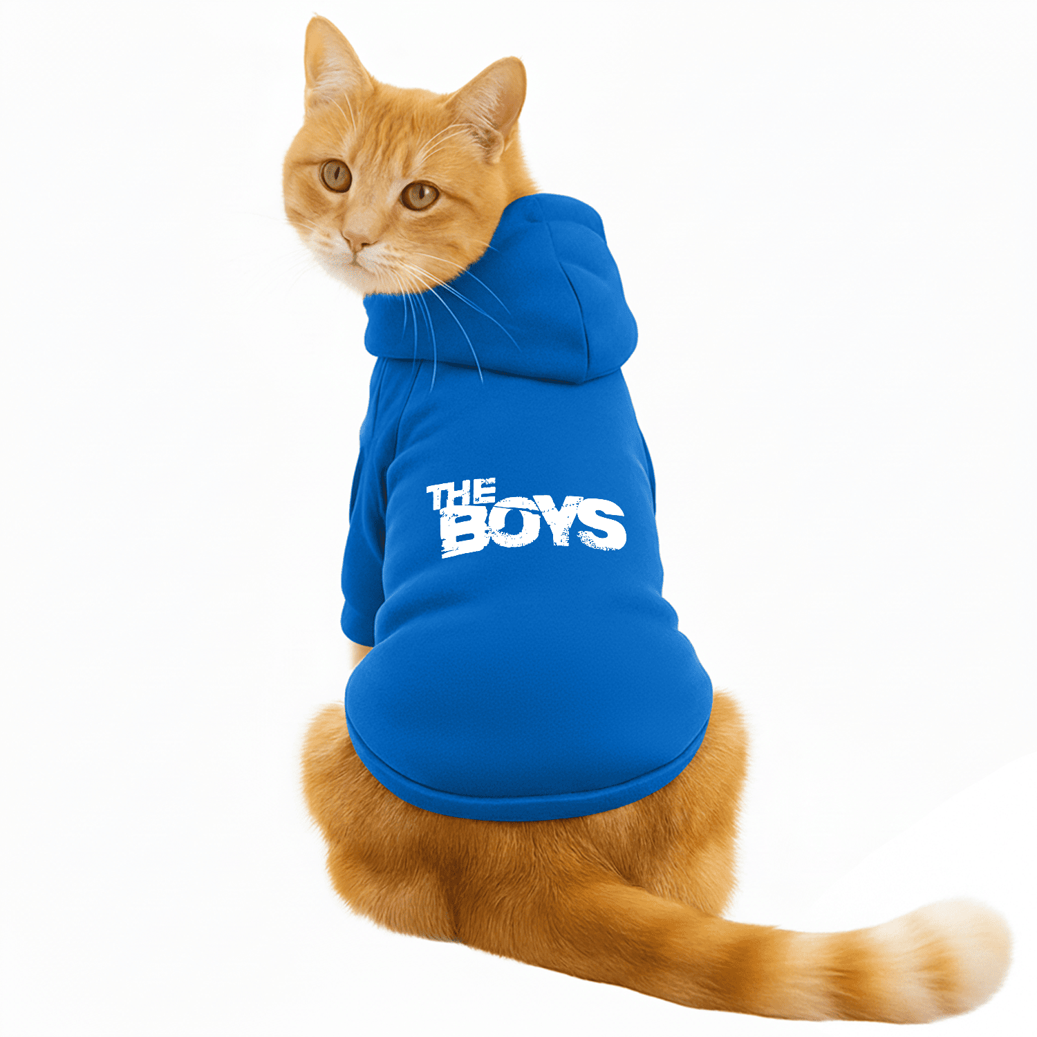 Pawsindia Dog & Cat Hoodie - The Boys (Blue)