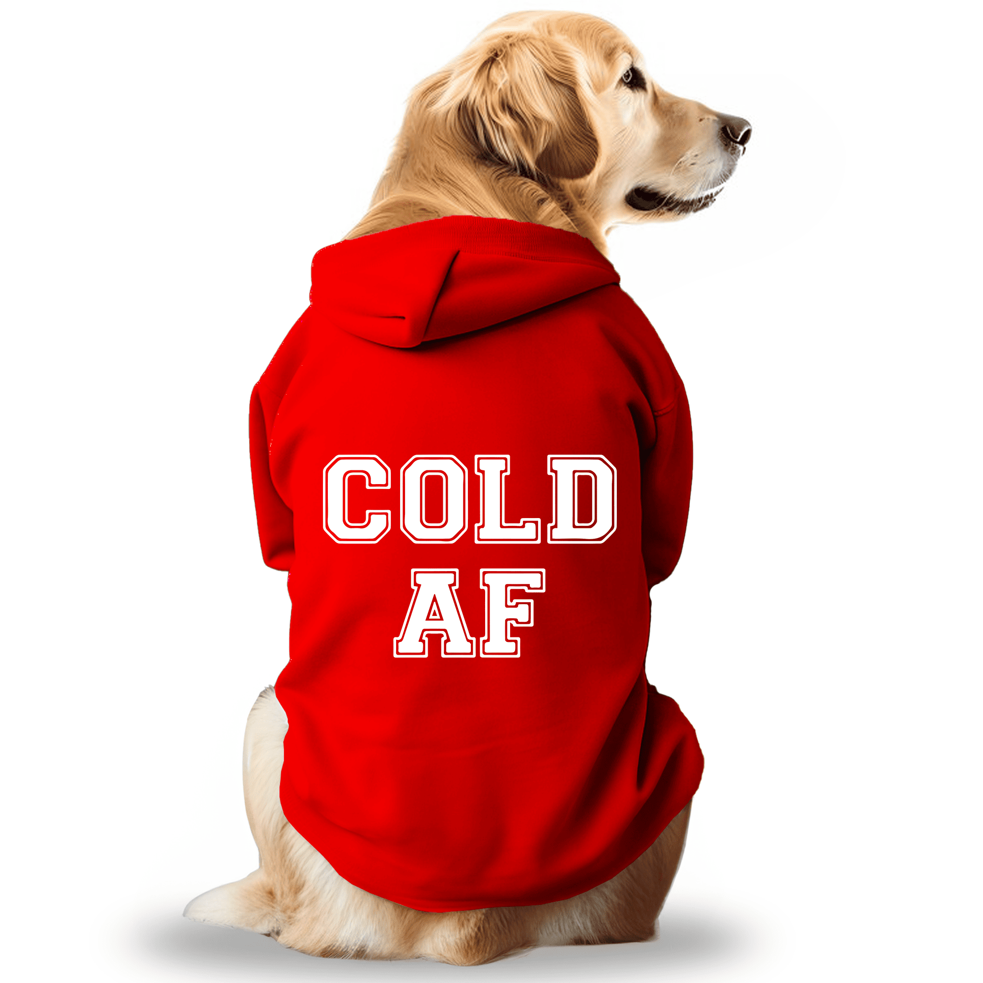 Pawsindia Dog & Cat Hoodie - Cold AF (Red)
