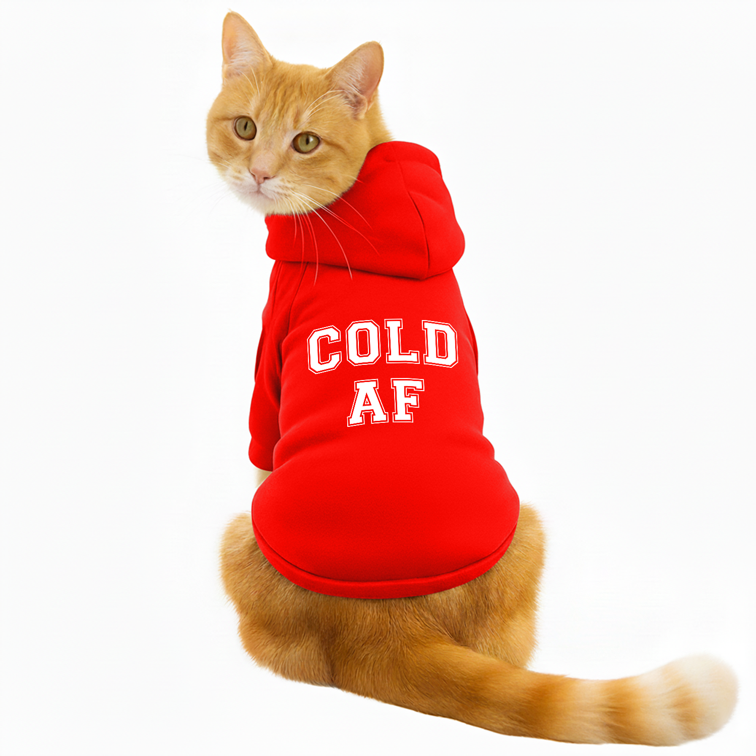 Pawsindia Dog & Cat Hoodie - Cold AF (Red)