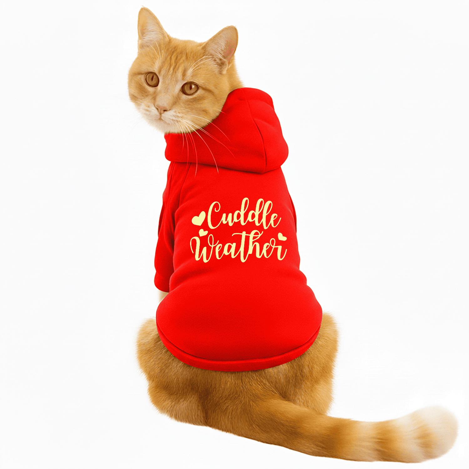 Pawsindia Dog & Cat Hoodie - Cuddle Weather (Red)