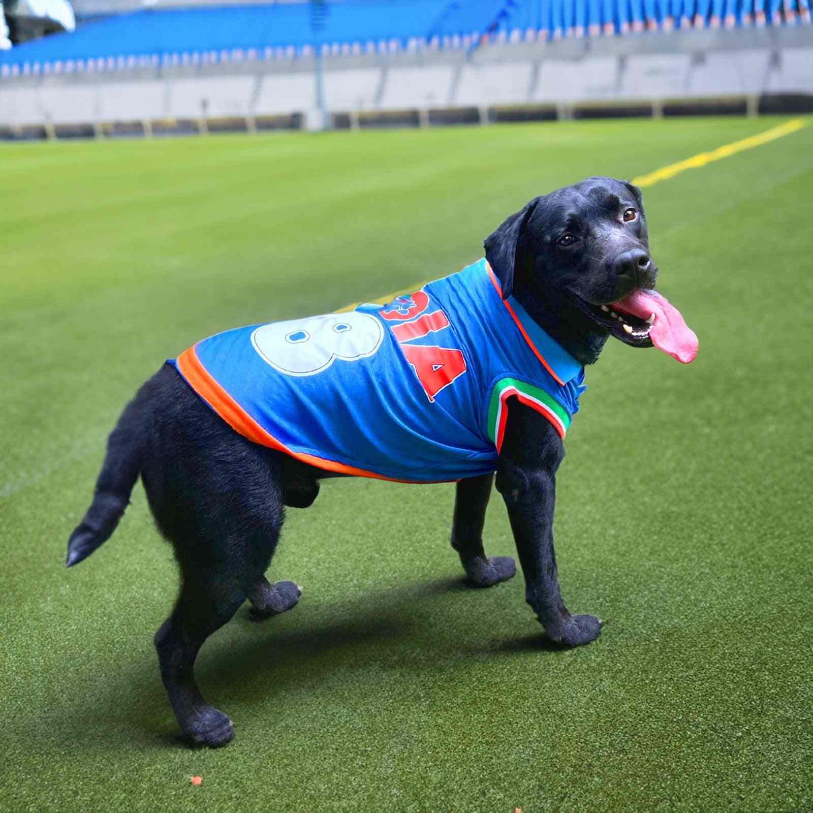 Pawsindia Dog & Cat Indian Cricket Jersey Round Neck