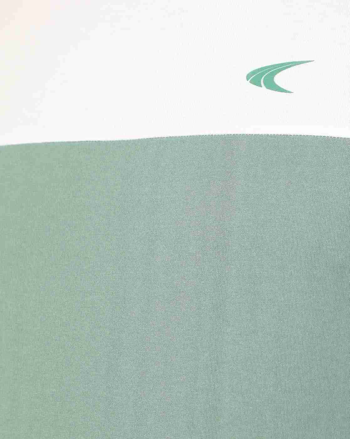 PERFORMAX | Men Colourblock Regular Fit Crew-Neck T-Shirt|6