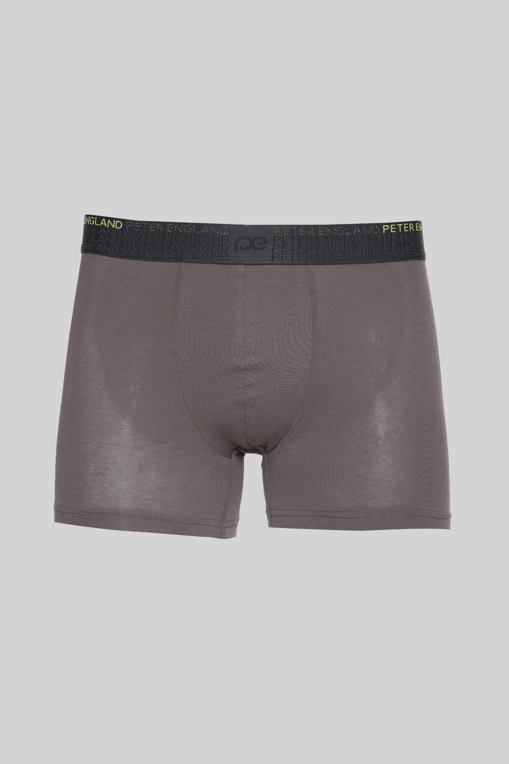Men Grey Graphic Print Trunk