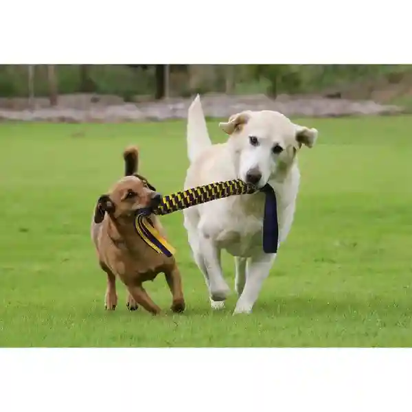 Petsport Twisted Chews Spring Tug Toy