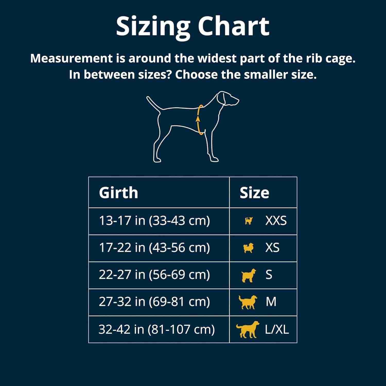 Ruffwear Webmaster Harness for Dogs (Twilight Grey)