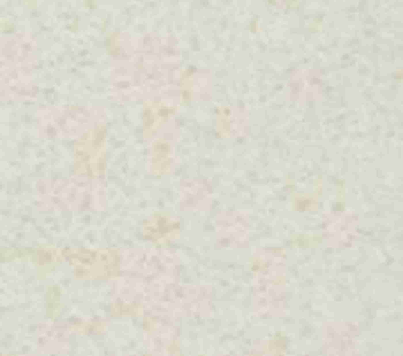 Belgian Linen Pillow Covera