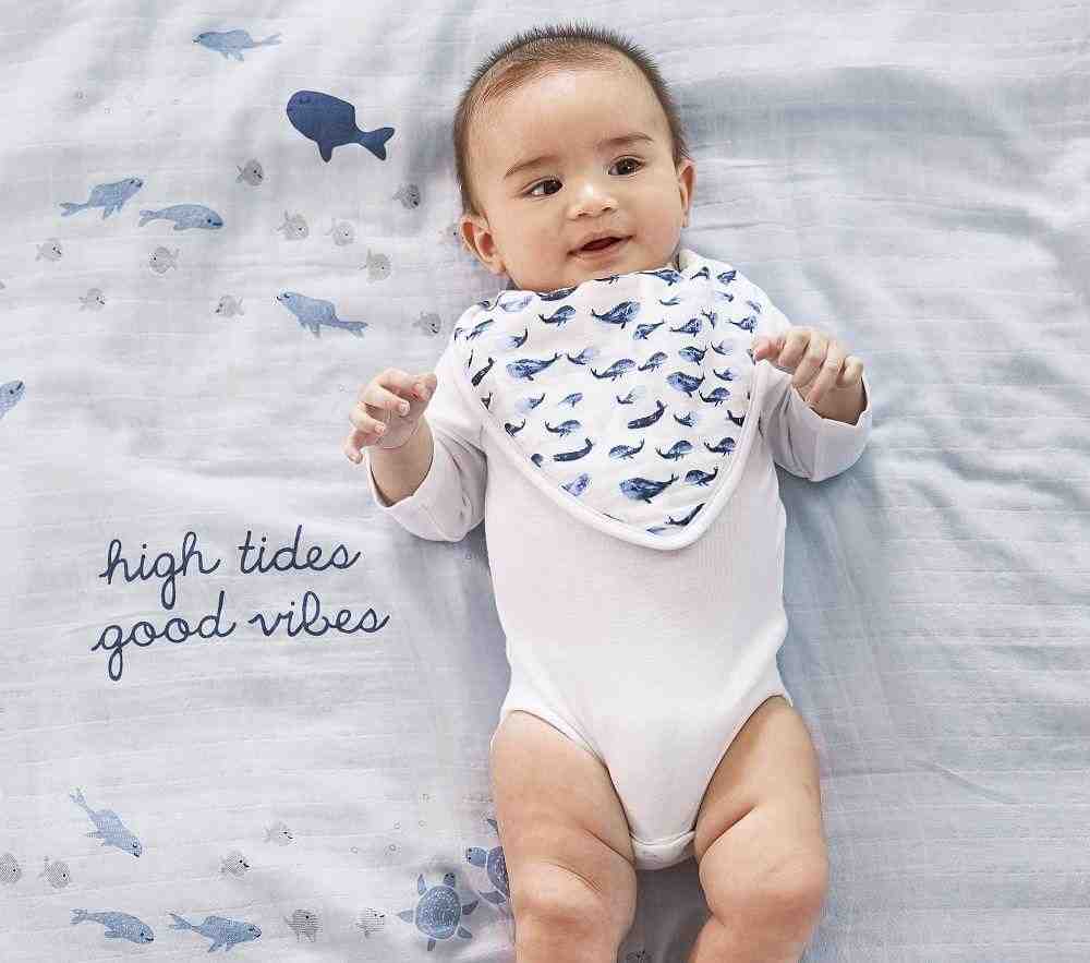 Jack Organic Muslin Drool Bib Set Of 3-Navy Multi