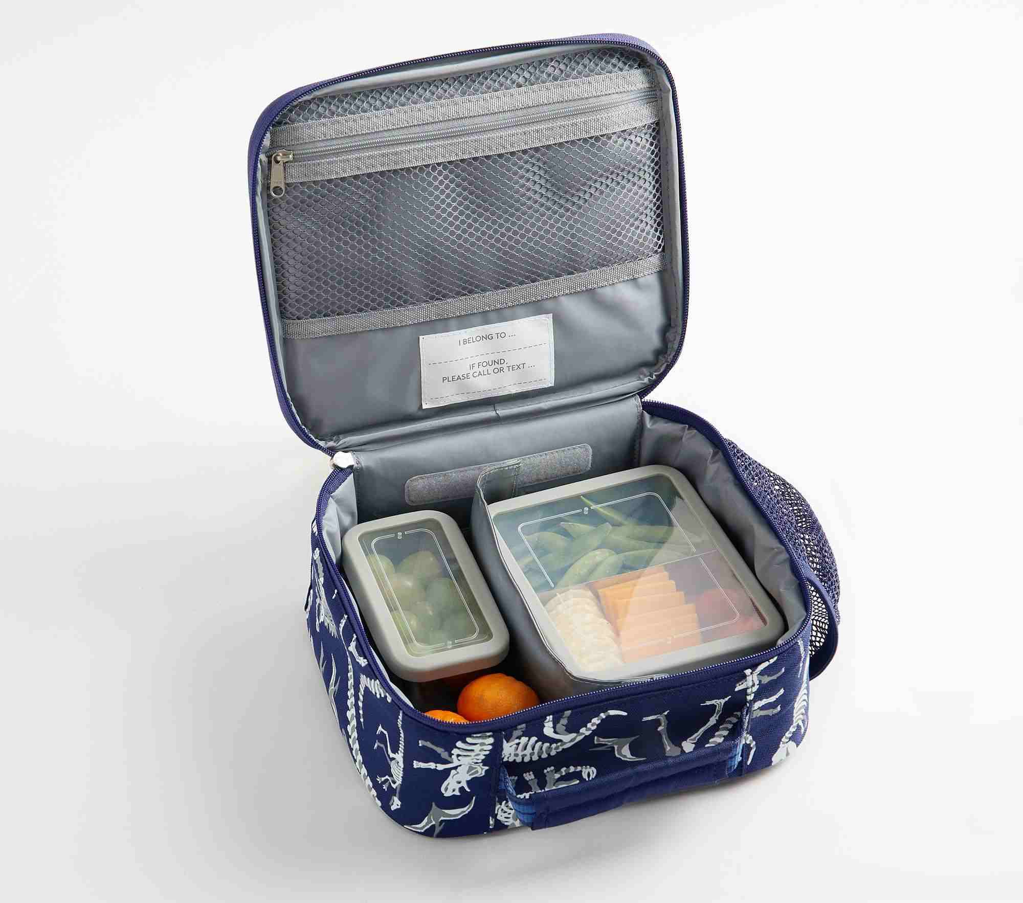 Mackenzie Blue Multi Dino Lunch Boxes
