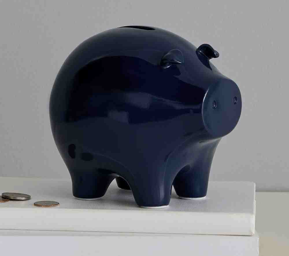 Mini Piggy Bank