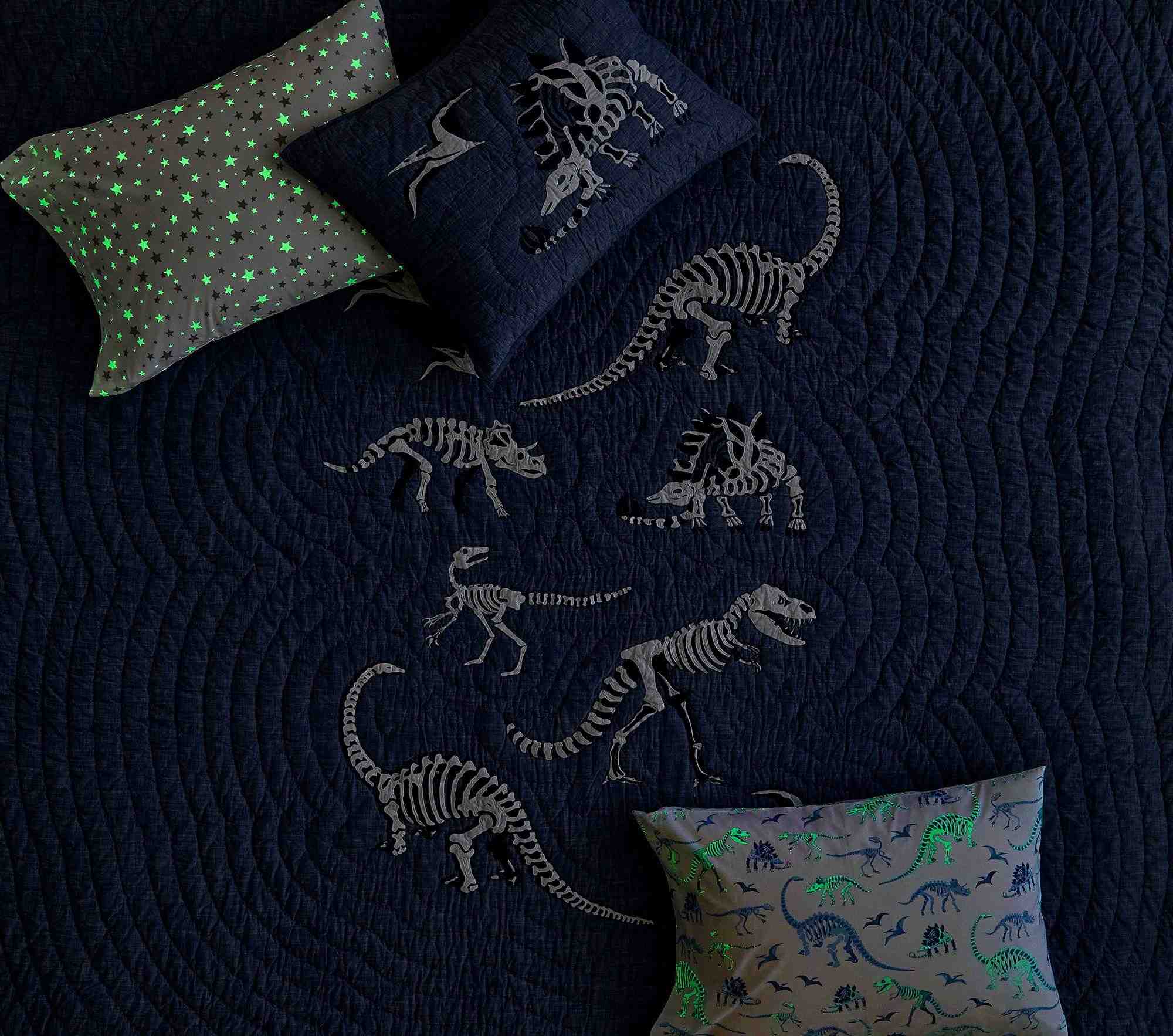 Dino Bones Quilt