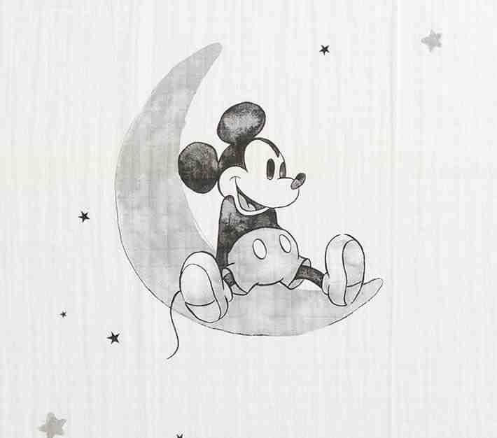 Disney Mickey And Minnie Mouse Organic Swaddle Set