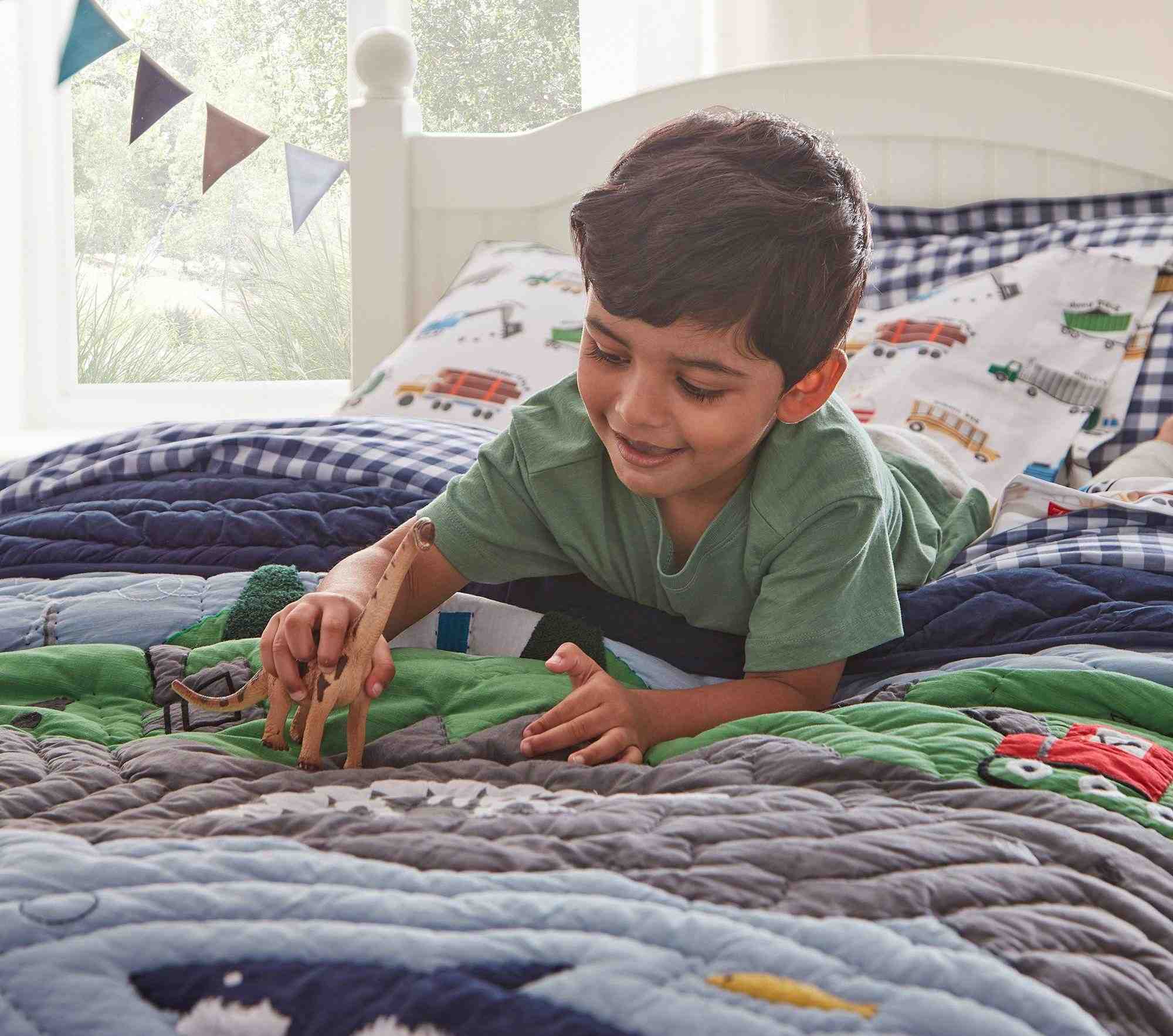 Big Adventure Quilt & Shams