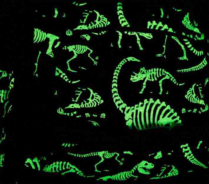 Mackenzie Navy Dino Bones Glow-in-the-Dark Backpacks