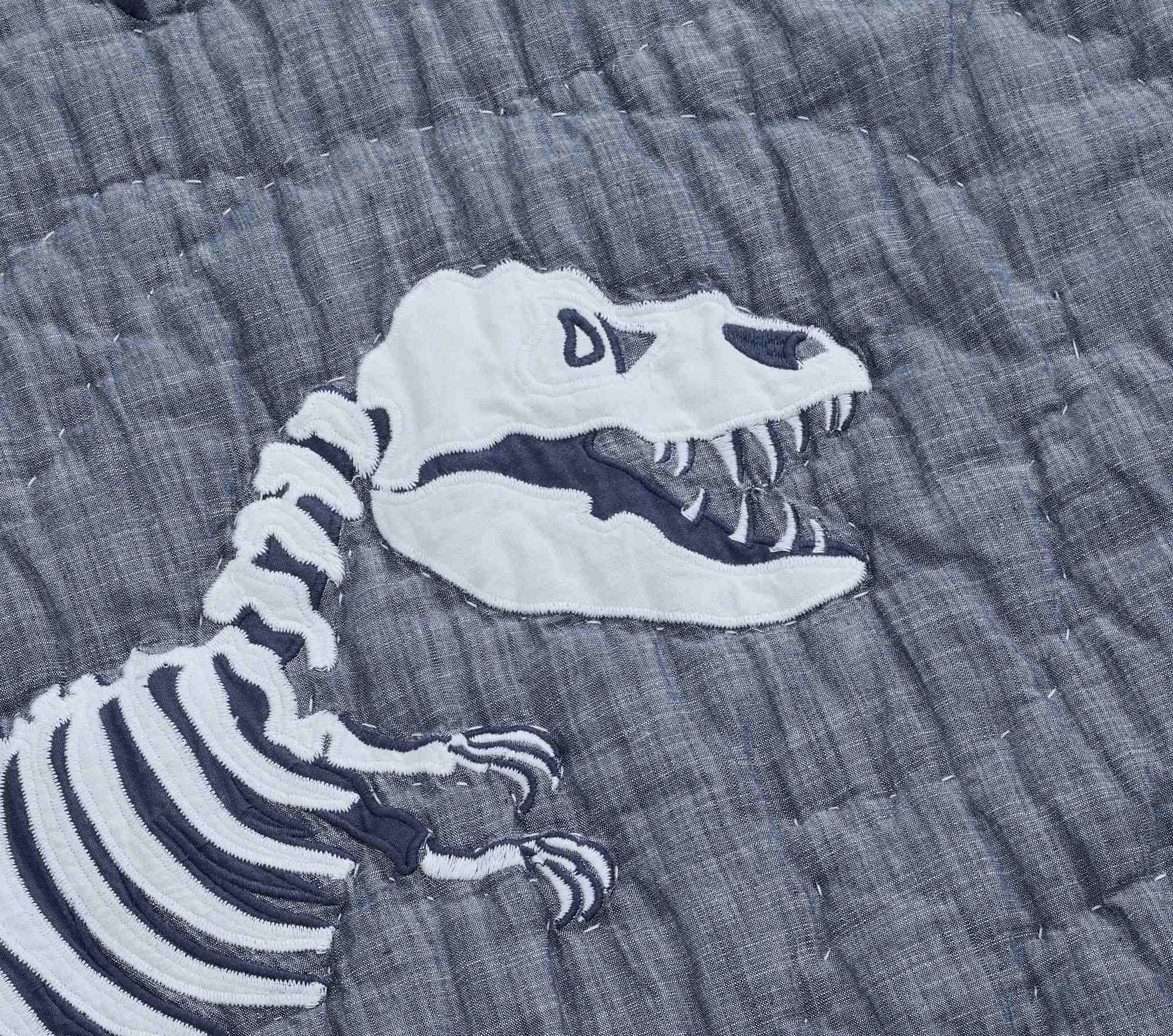 Dino Bones Quilt