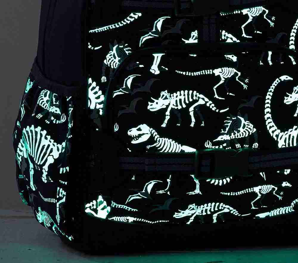 Mackenzie Blue/Gray Glow-in-the-Dark Dinos Backpack