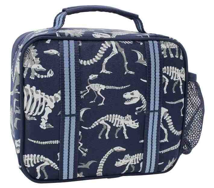 Mackenzie Blue Dino Glow-In-The-Dark Lunch Boxes