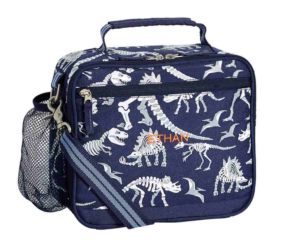 Mackenzie Blue Dino Glow-In-The-Dark Lunch Boxes