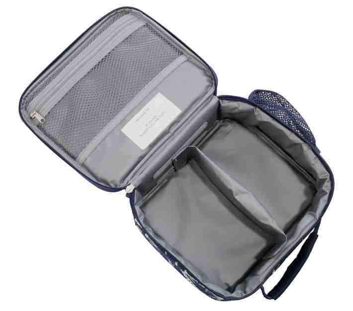 Mackenzie Blue Dino Glow-In-The-Dark Lunch Boxes