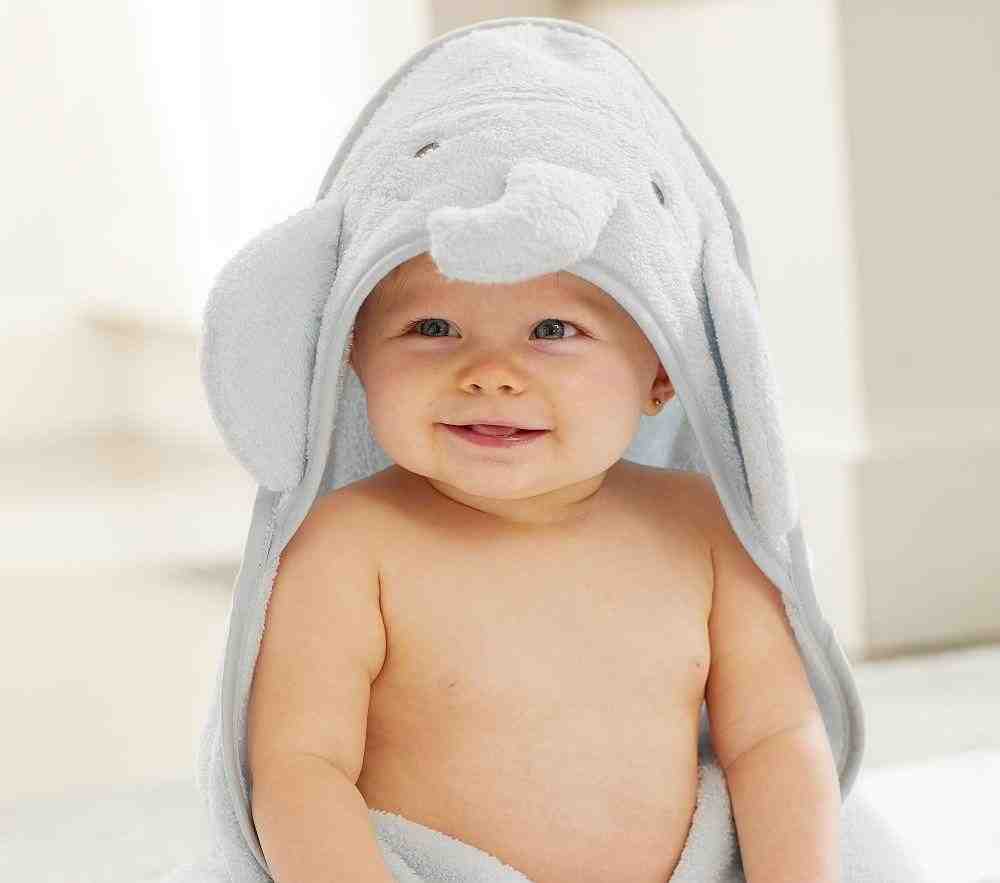 Elephant Hooded Animal Towel and Washcloth Set