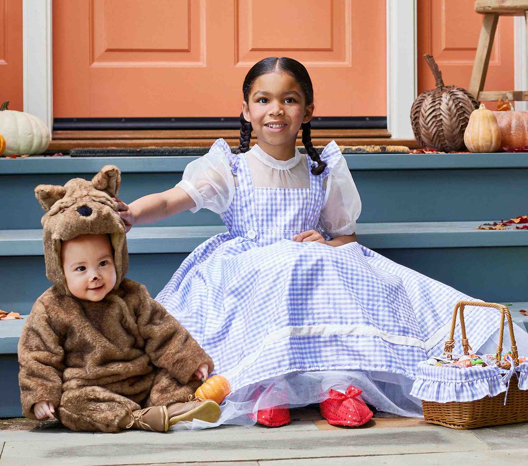 The Wizard of Oz™ Dorothy™ Costume