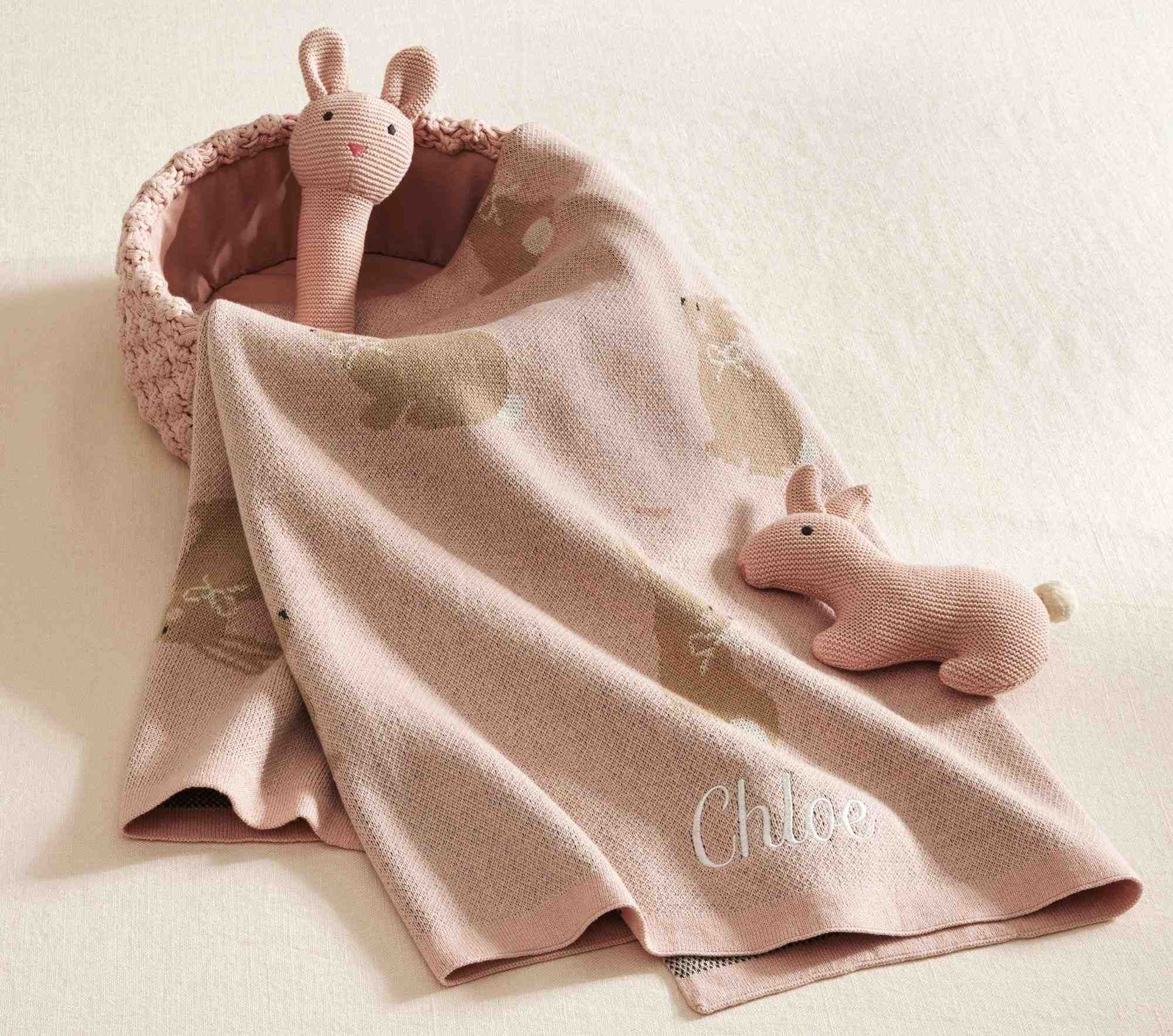 Intarsia Animal Baby Gift Set