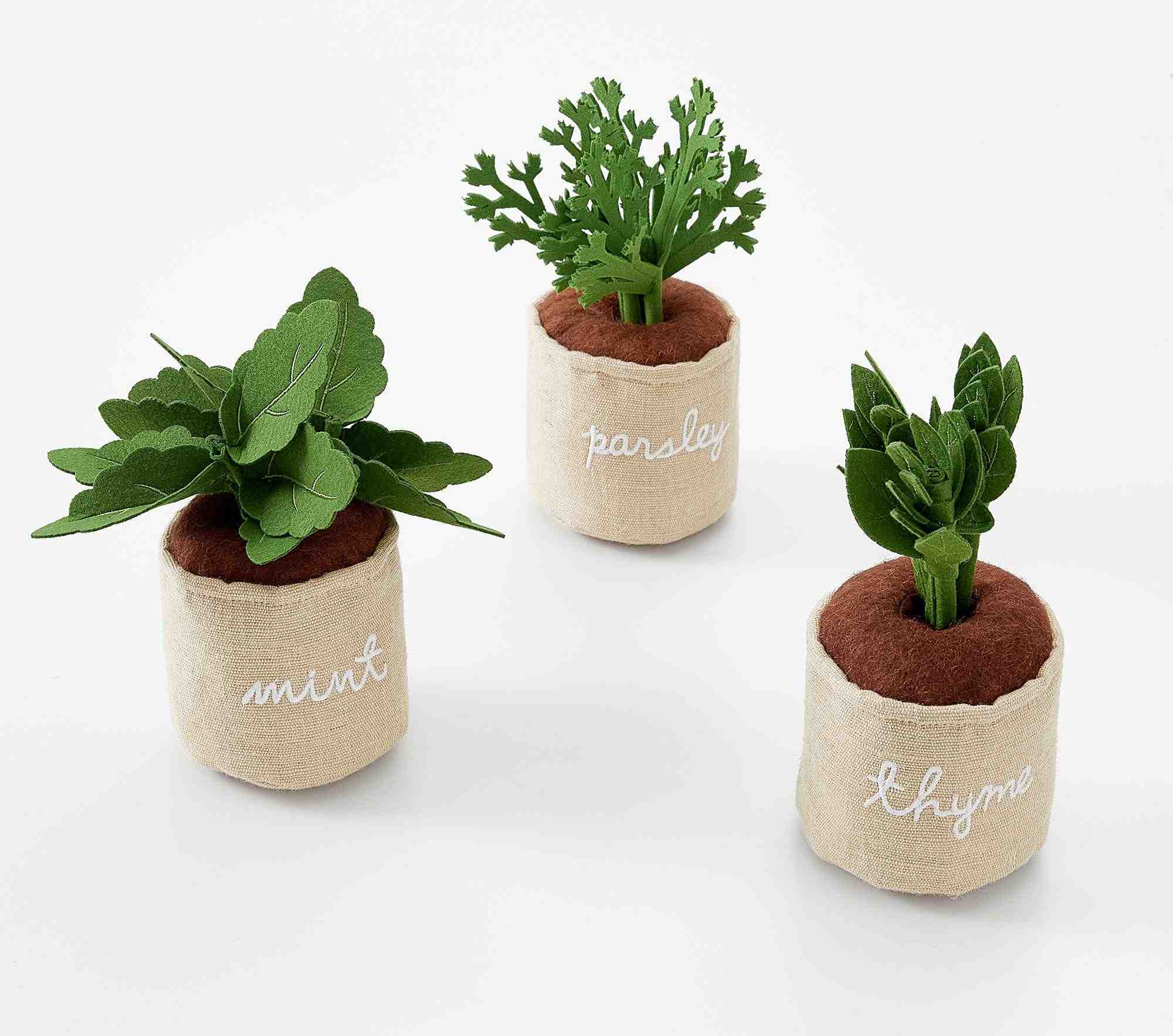 Potted Gardening Herbs