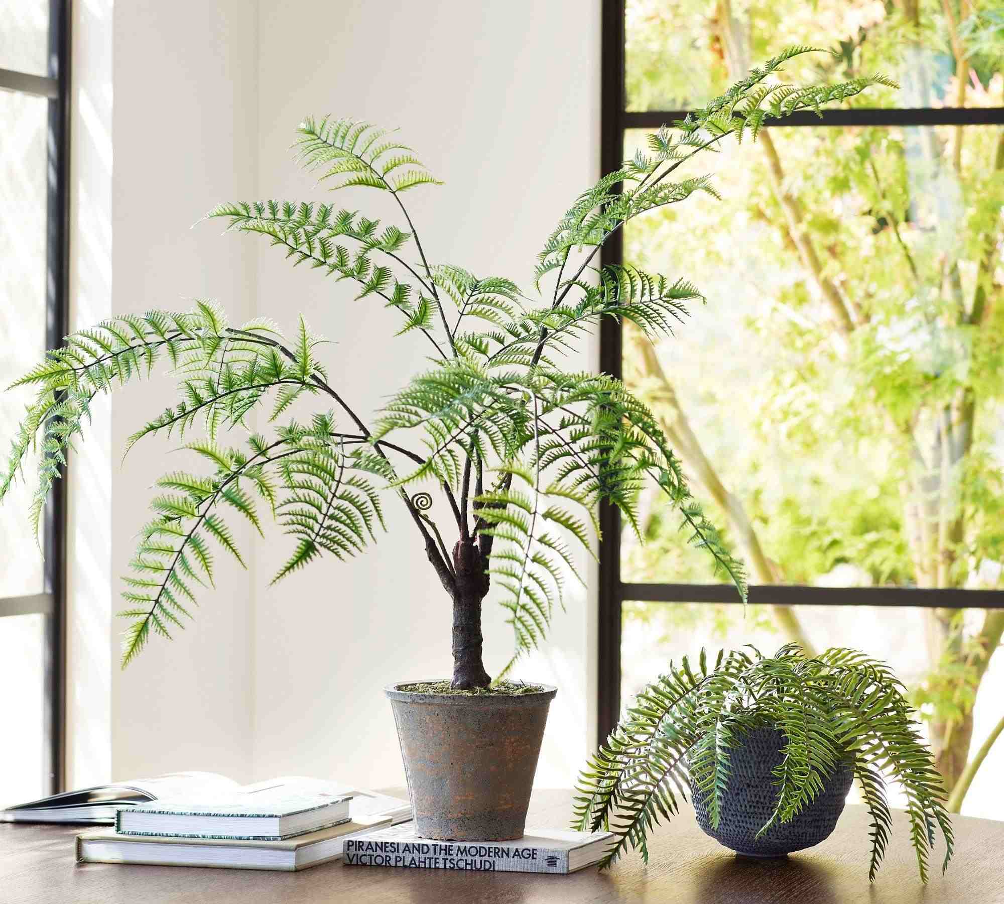 Pottery Barn | Faux Potted Trunked Curly Fern