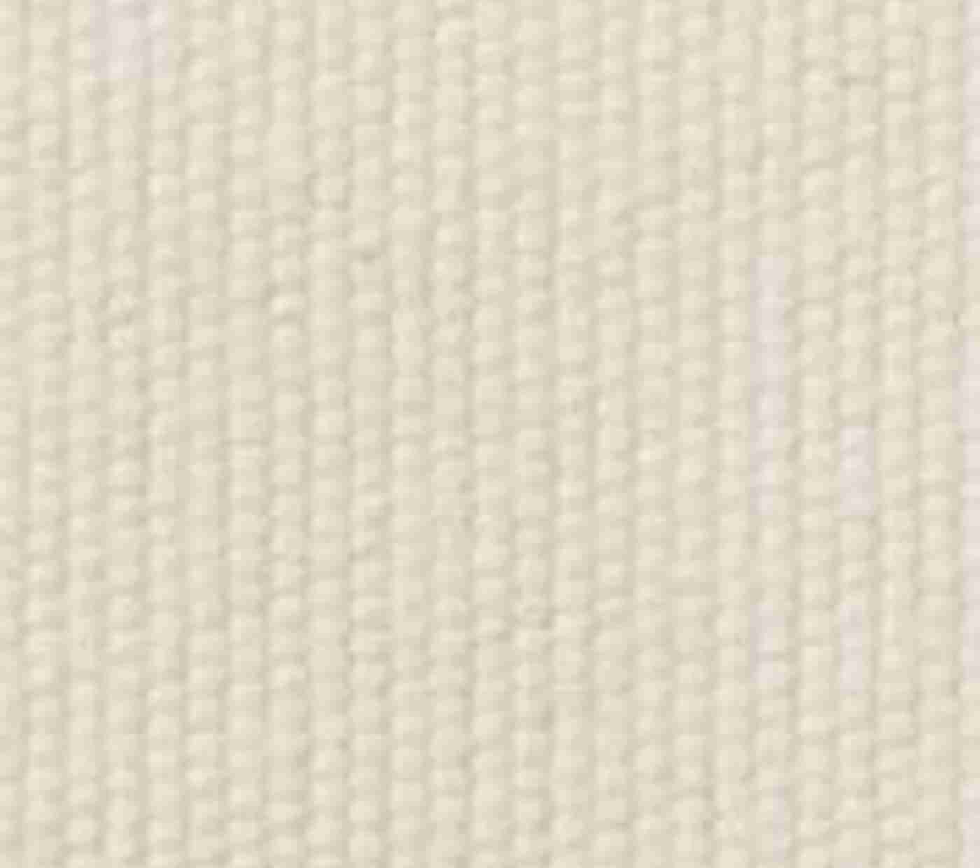 Mason Handwoven Cotton Fringe Placemats