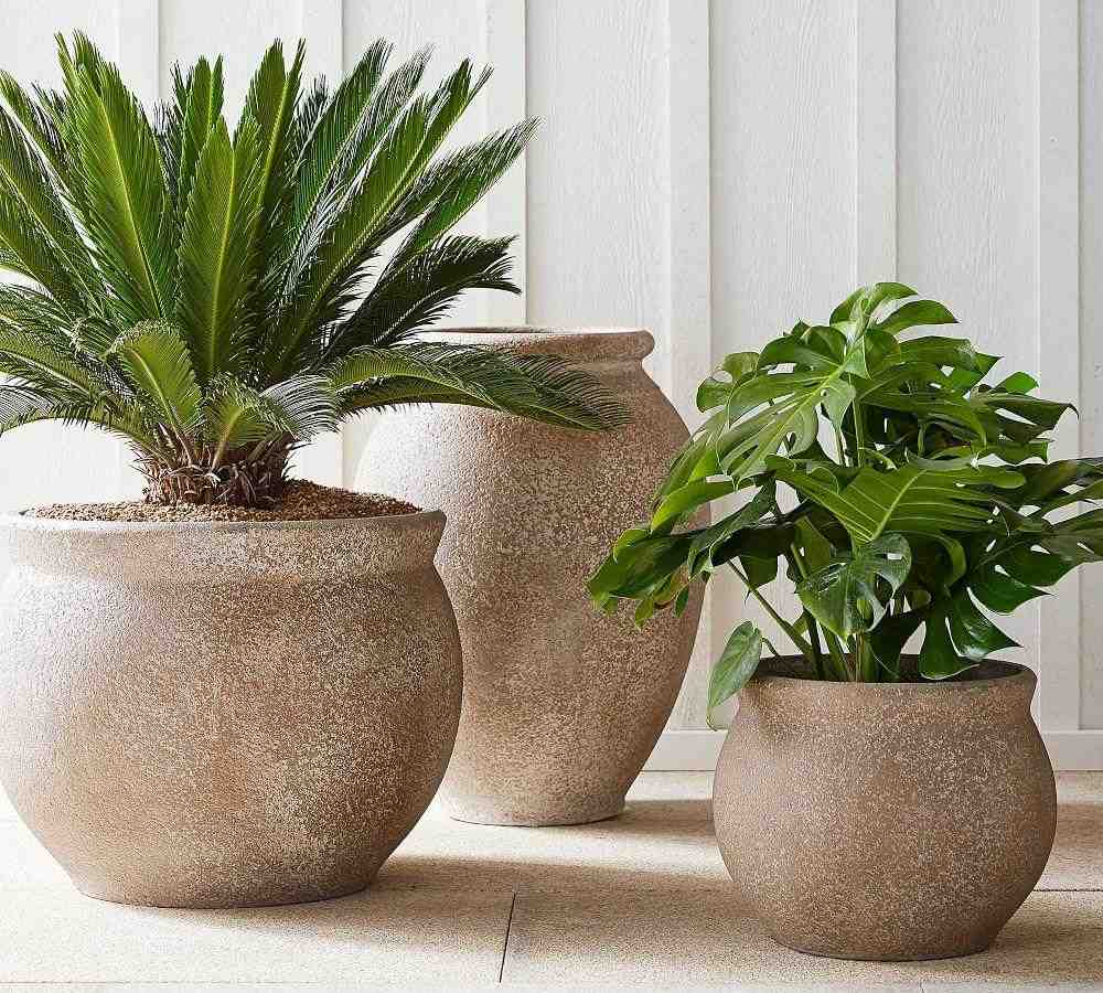 Azina Planters