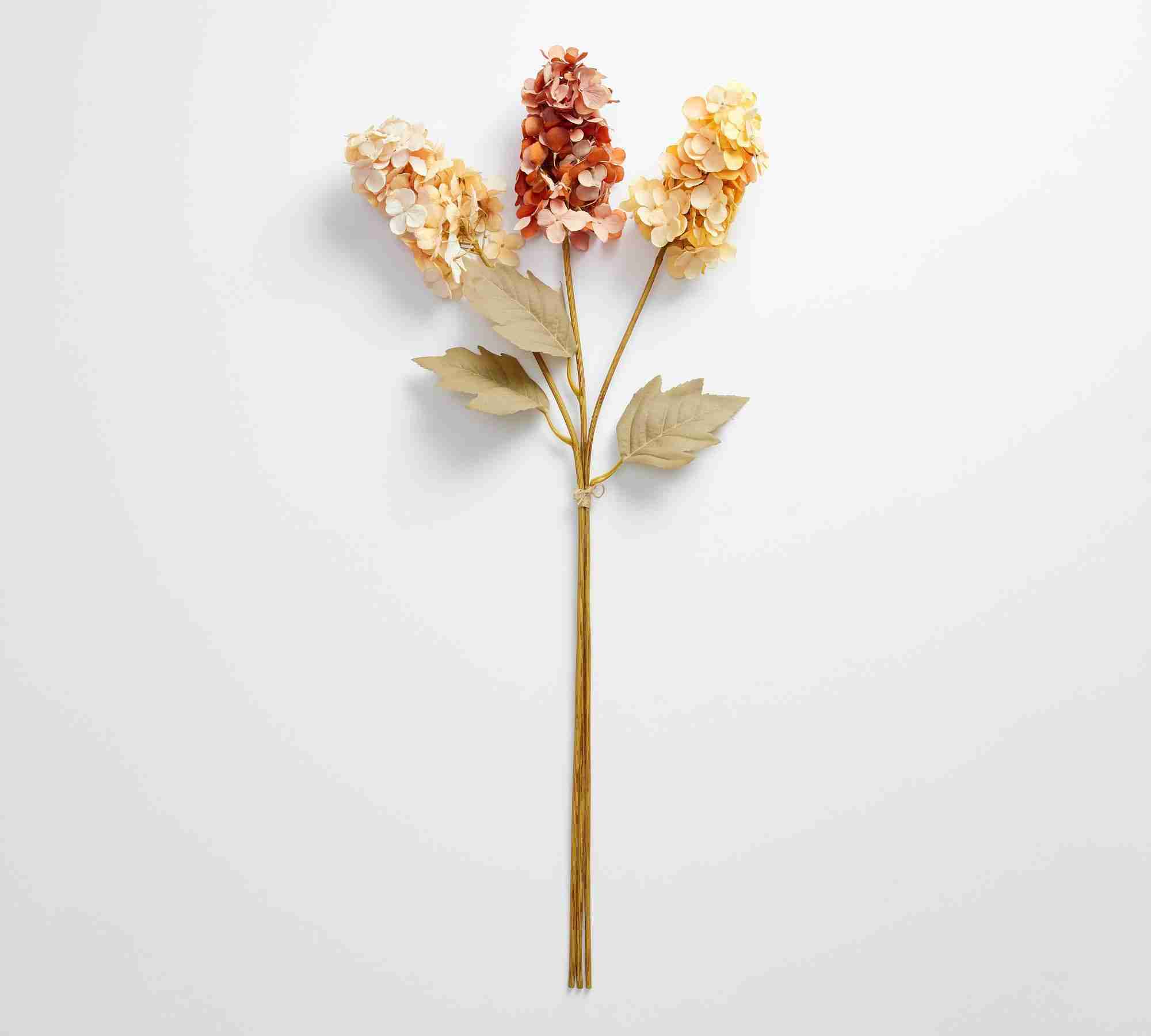 Faux Cone Hydrangea