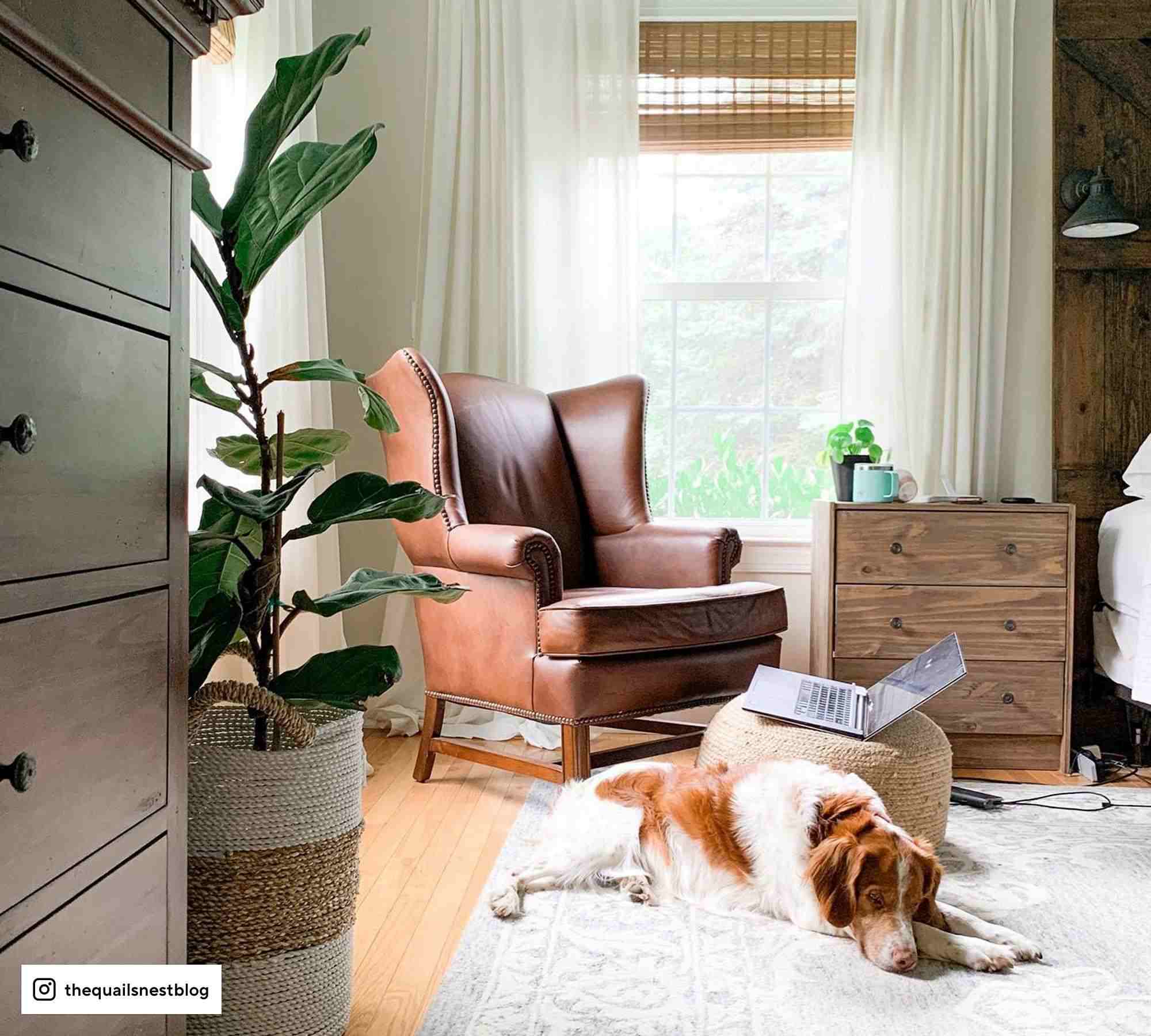 Thatcher Leather Wingback Chair