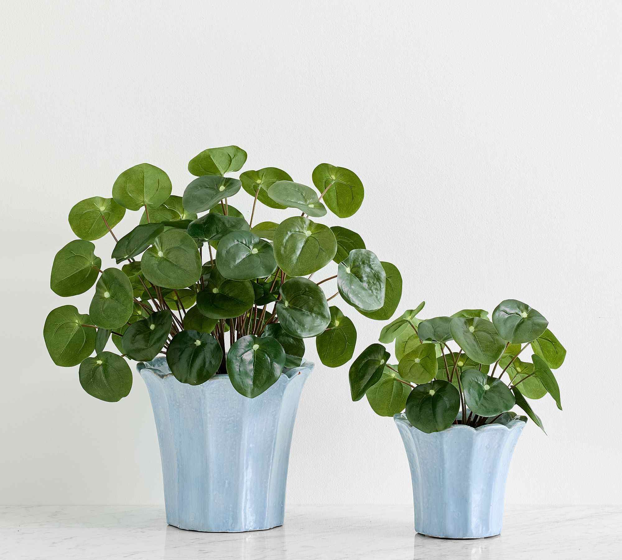 Faux Elephant Ear Plant