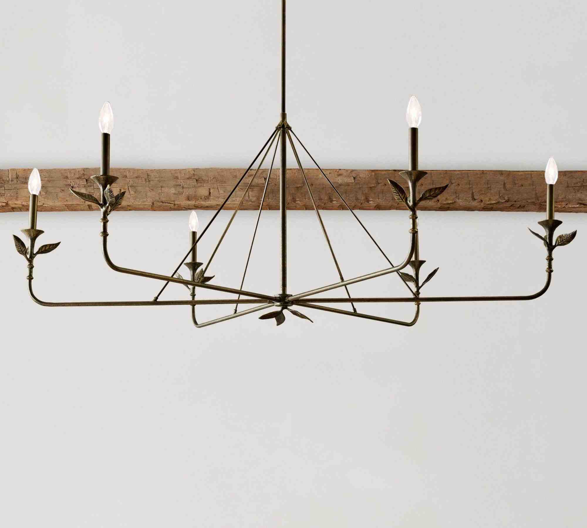 Botanical Forged Iron Chandelier