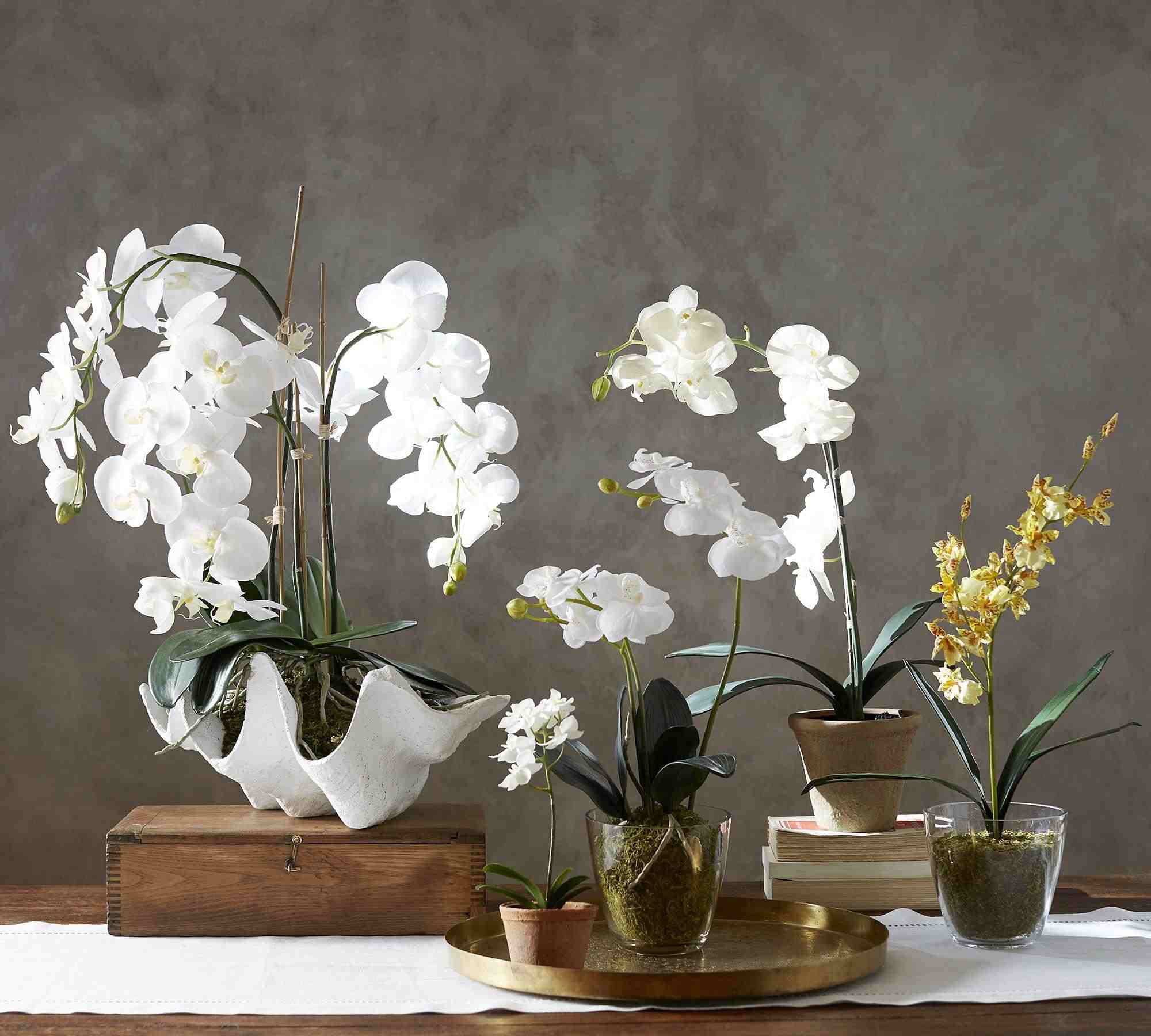 Faux Orchid