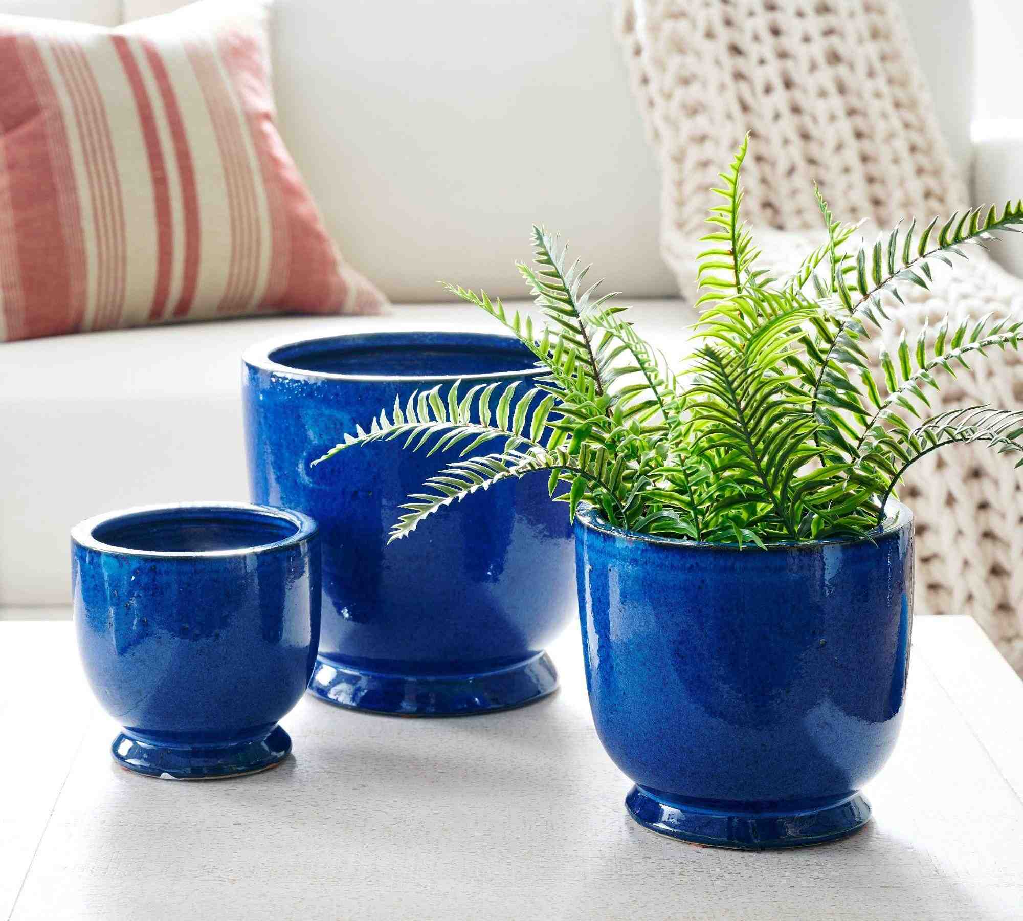 Willow Cachepot