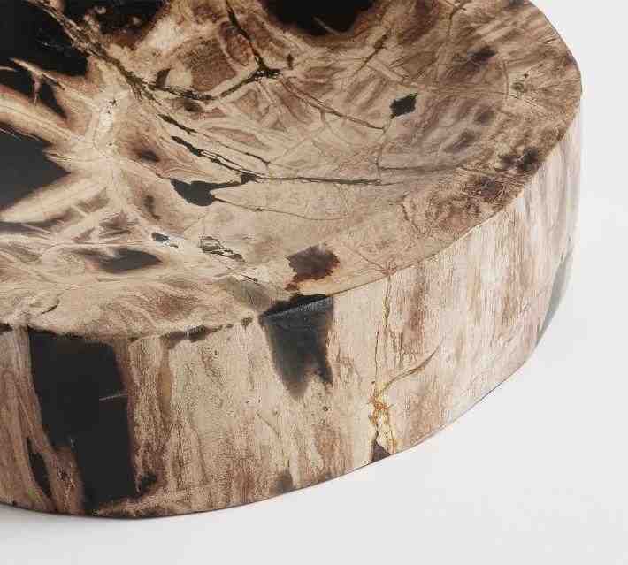 Petrified Wood Bowl