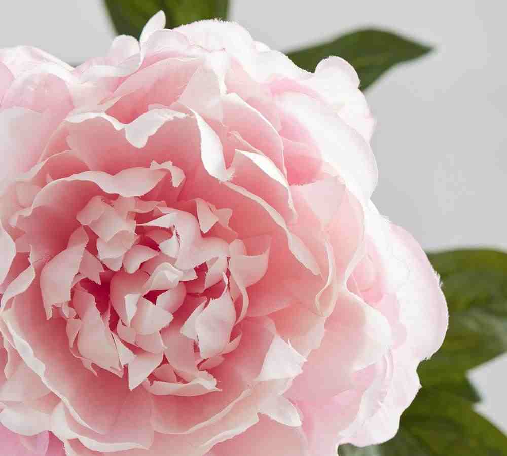 Faux Peony Bouquets