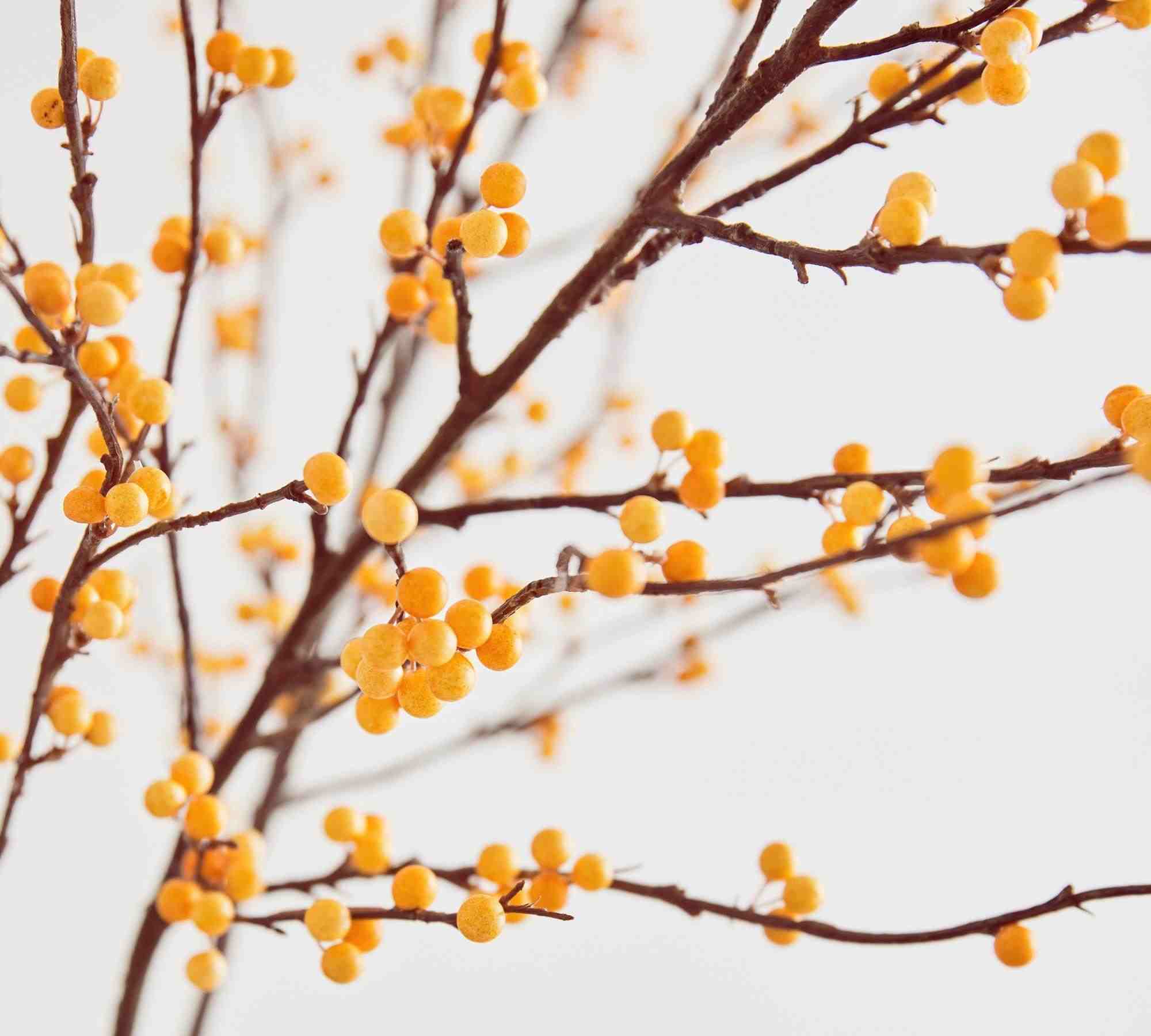 Faux Bittersweet Branch