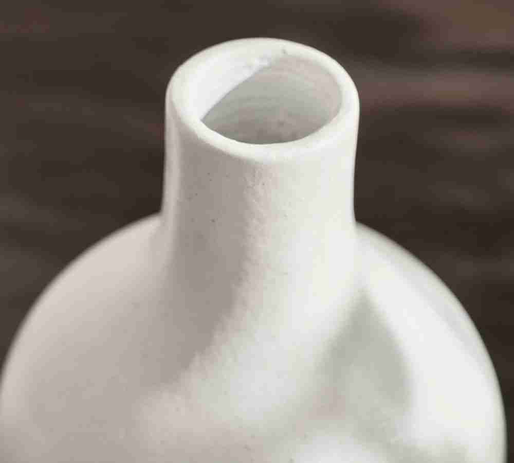 Studio Vase Collection