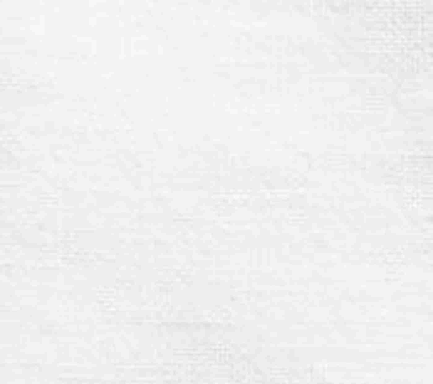 Frayed Oversized Linen Napkins - Set of 4