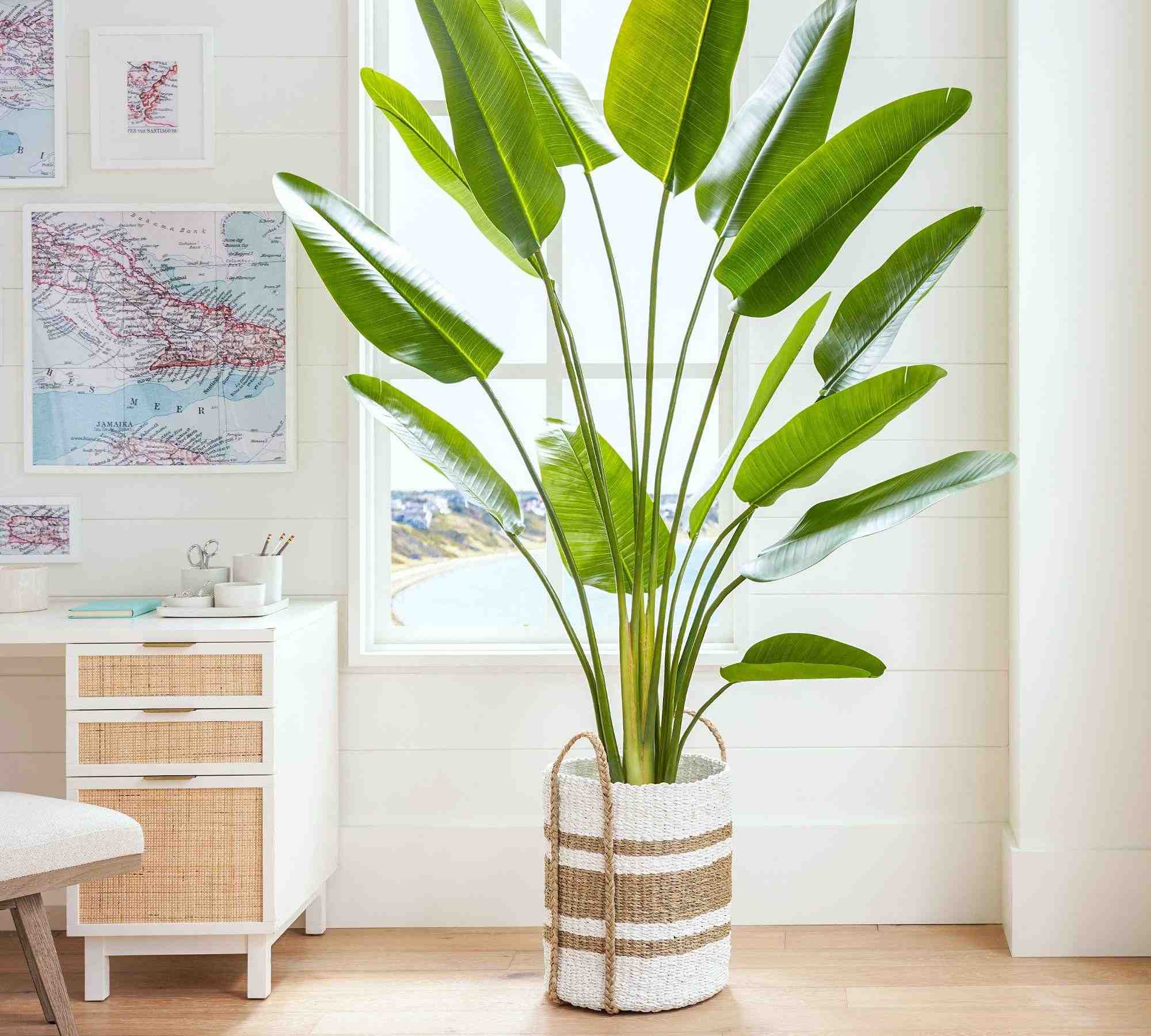 Pottery Barn | Faux Banana Palm Tree