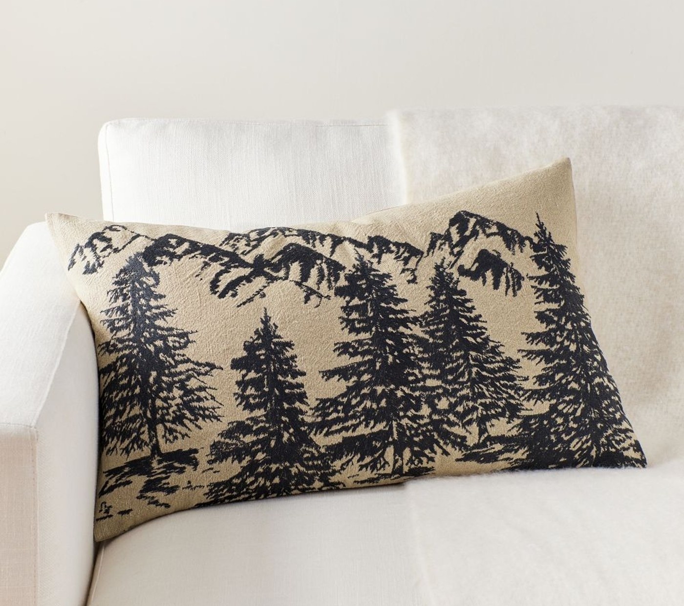 Pottery Barn | Conell Lumbar Pillow Cover, 16x26", Multi