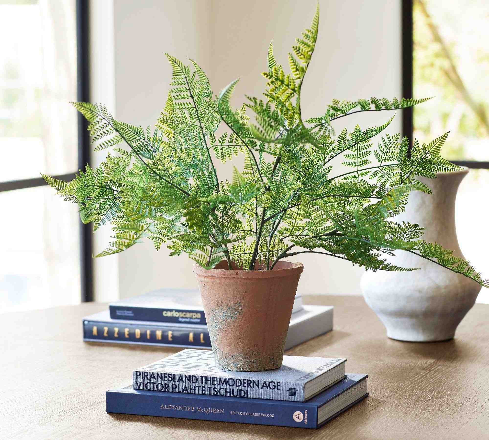 Pottery Barn | Faux Potted Japanese Climbing Fern