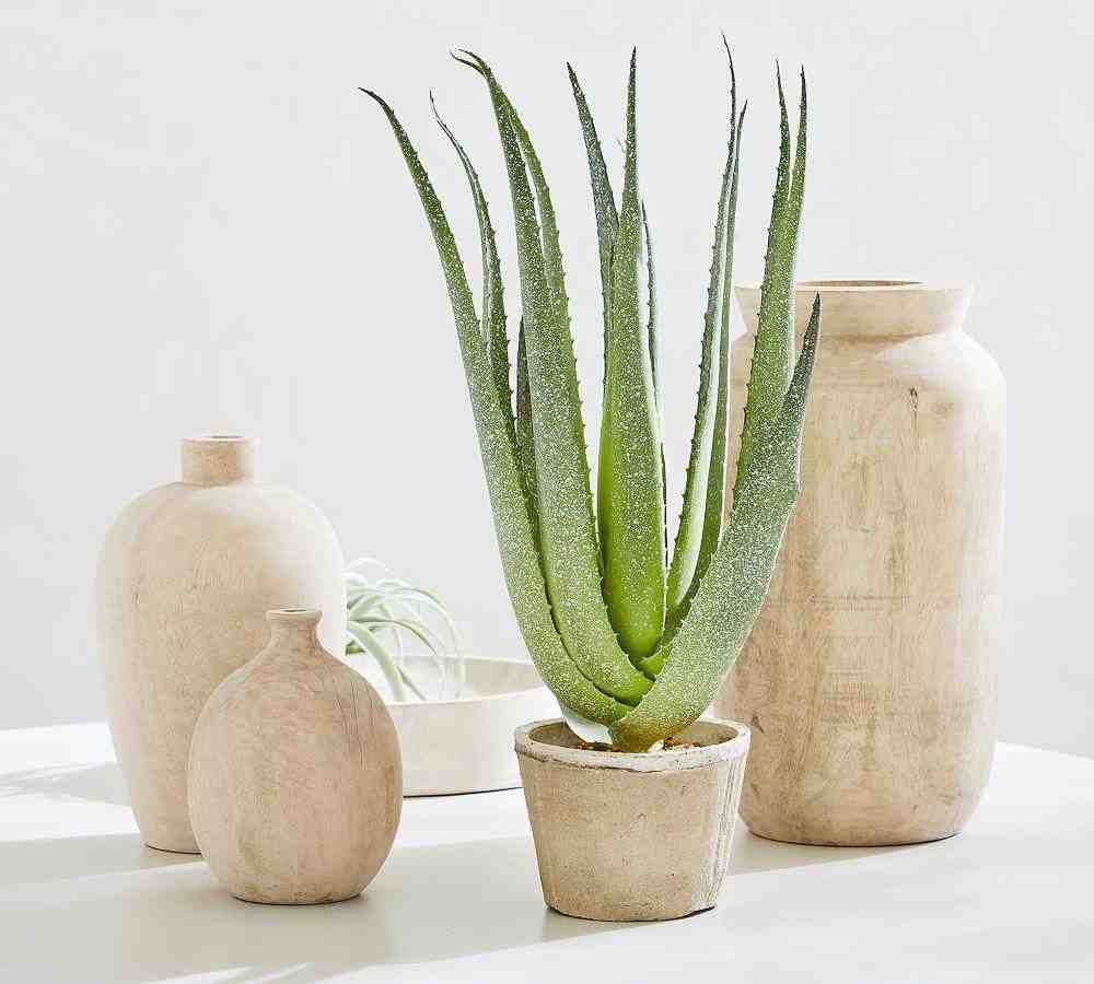 Faux Potted Speckled Aloe Vera Plant In Terra Cotta Pot