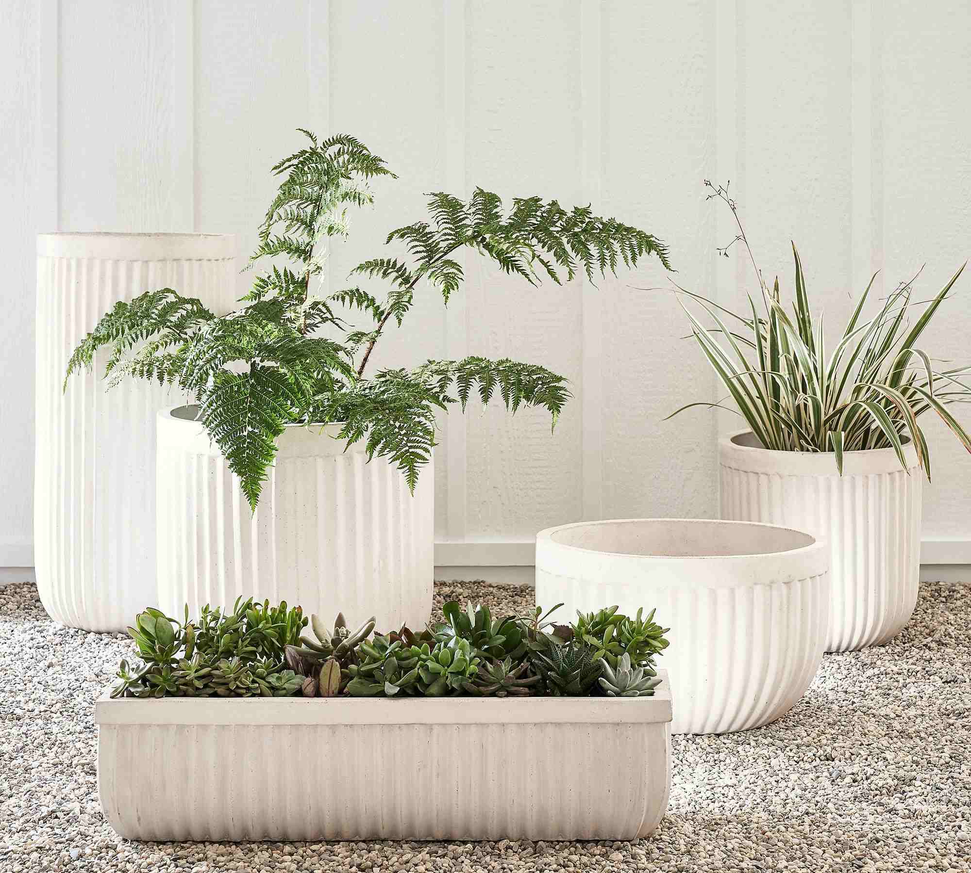 Concrete Fluted Planters, Chalk