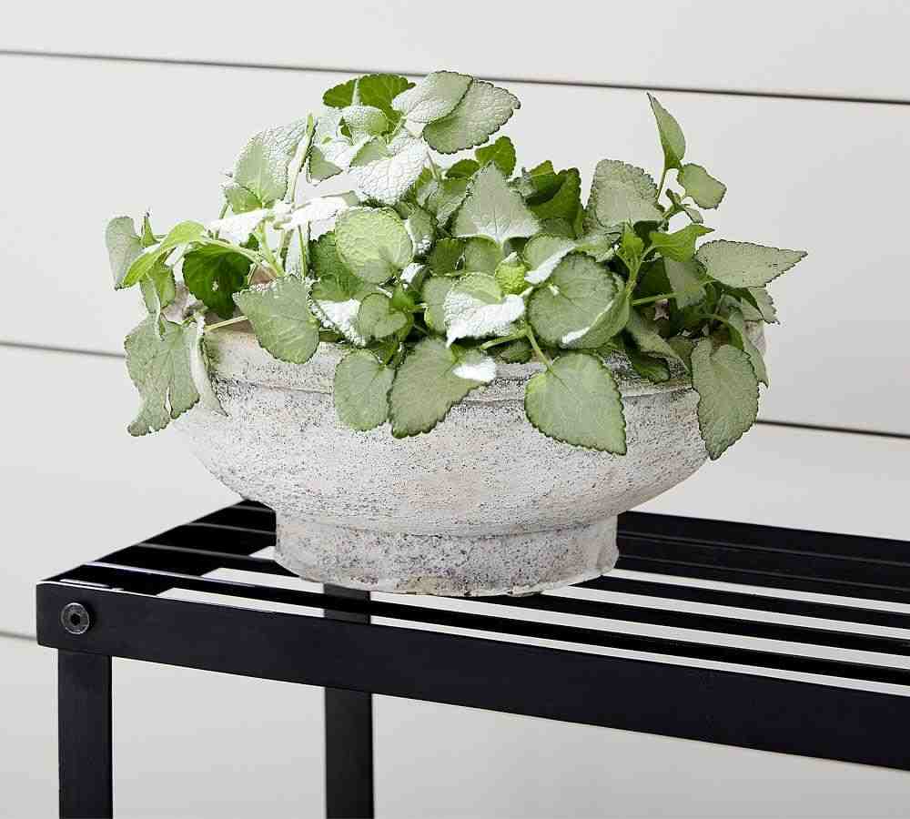 Artisan Handpainted Terracotta Planters