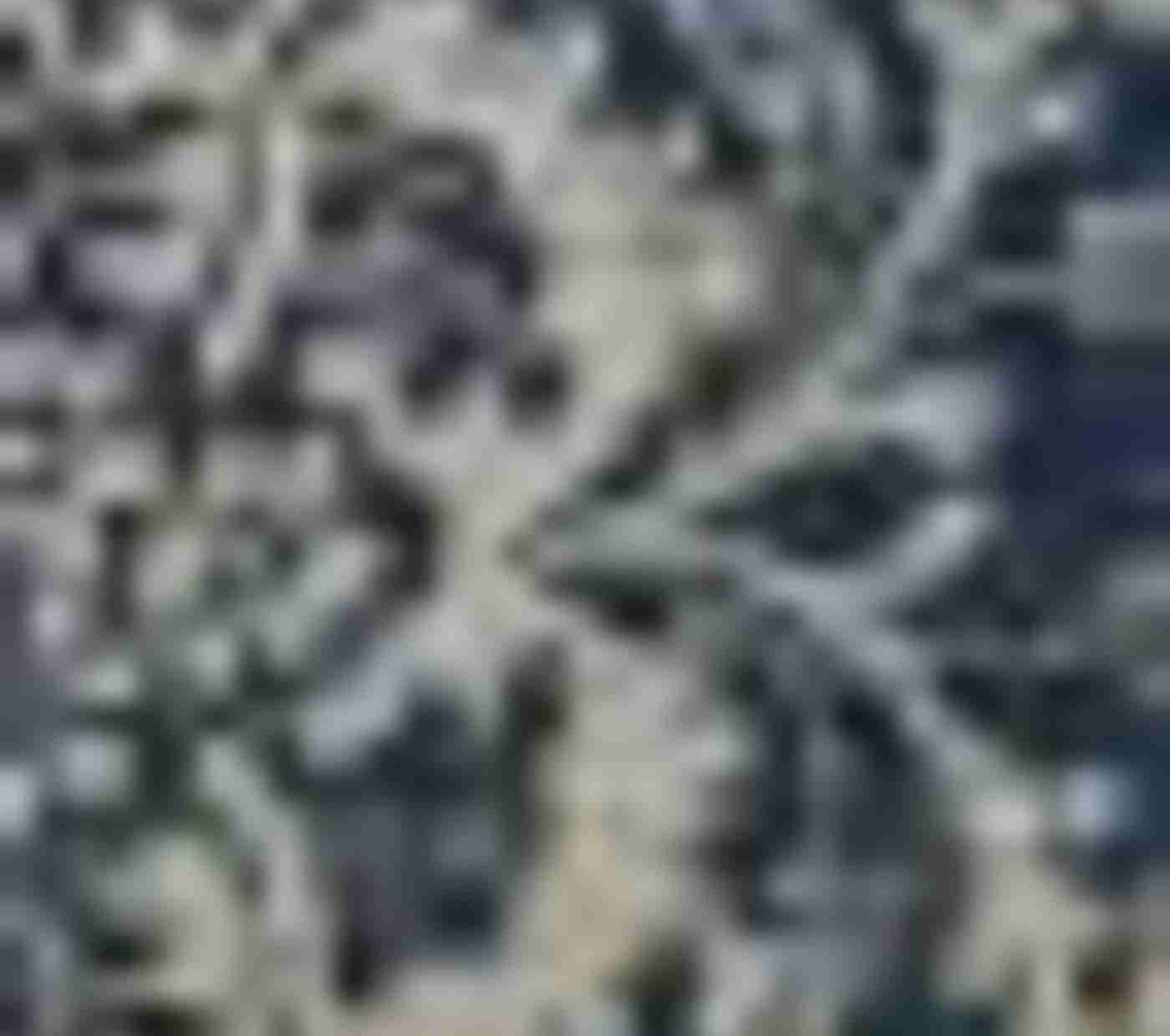 Bernyce Printed Pillow Cover