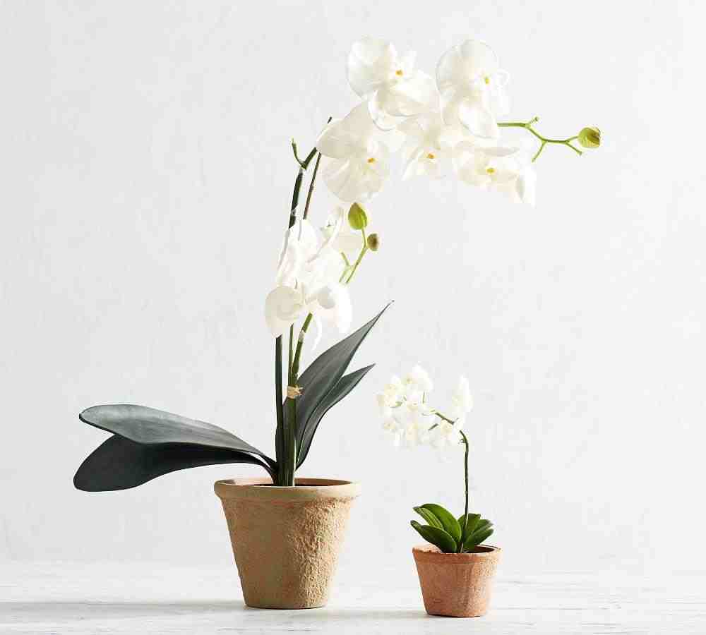 Mini Faux Potted Orchid